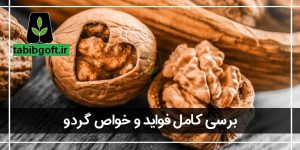 خواص گردو