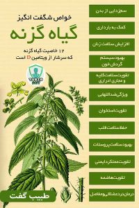 خواص گزنه برای سلامتی