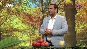 مصرف انار در طب سنتی