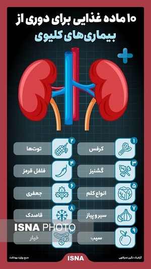 خوراکی های مفید برای کلیه