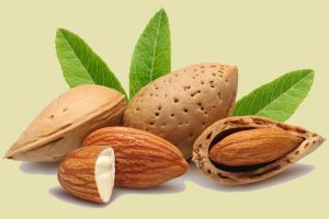 بهترین روش مصرف بادام درختی و مقدار مناسب برای کودکان 