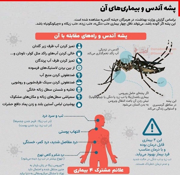 تب دنگی
