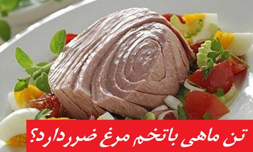تن ماهی باتخم مرغ ضرردارد؟ پاسخ طب سنتی و نوین