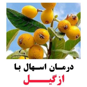طبع ازگیل و مصلح آن در طب سنتی
