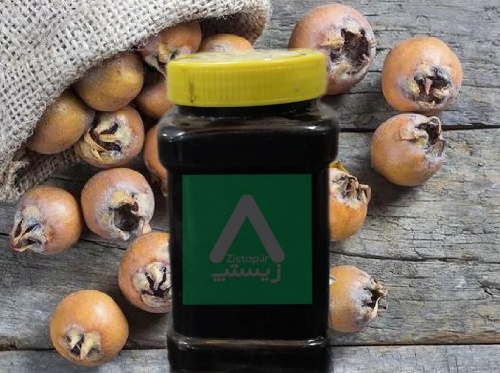 طبع ازگیل و مصلح آن در طب سنتی
