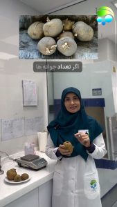ایا سیب زمینی جوانه زده سرطان زاست