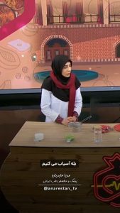 لایه بردار قوی خانگی + ویدئو تهیه