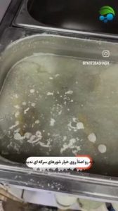 لایه سفید روی آب خیارشور
